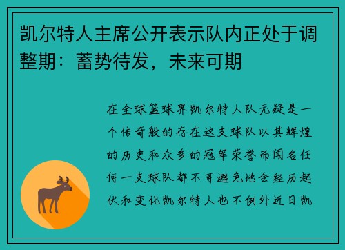 凯尔特人主席公开表示队内正处于调整期：蓄势待发，未来可期