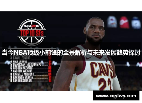 当今NBA顶级小前锋的全景解析与未来发展趋势探讨